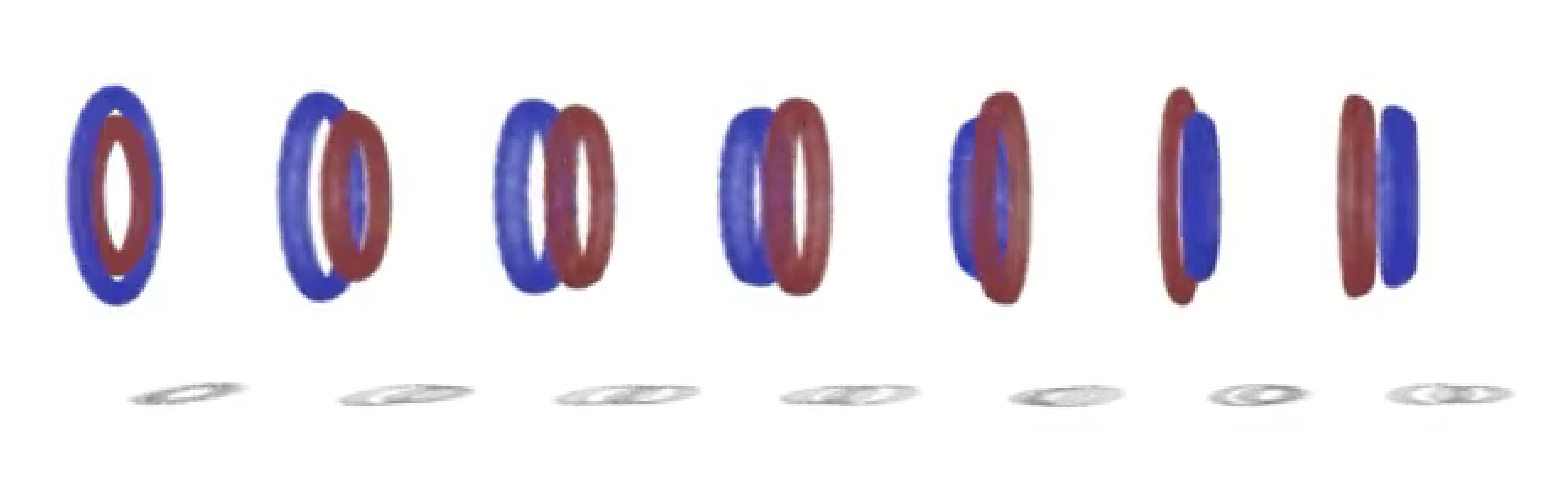 Vortex filament fluid simulation thumbnail